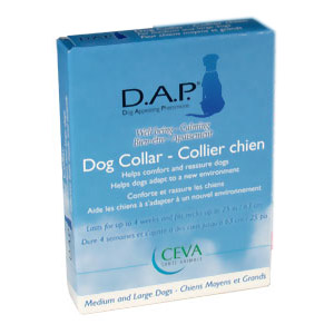 Dap Collar Med/Large Dog 62.5 Cms
