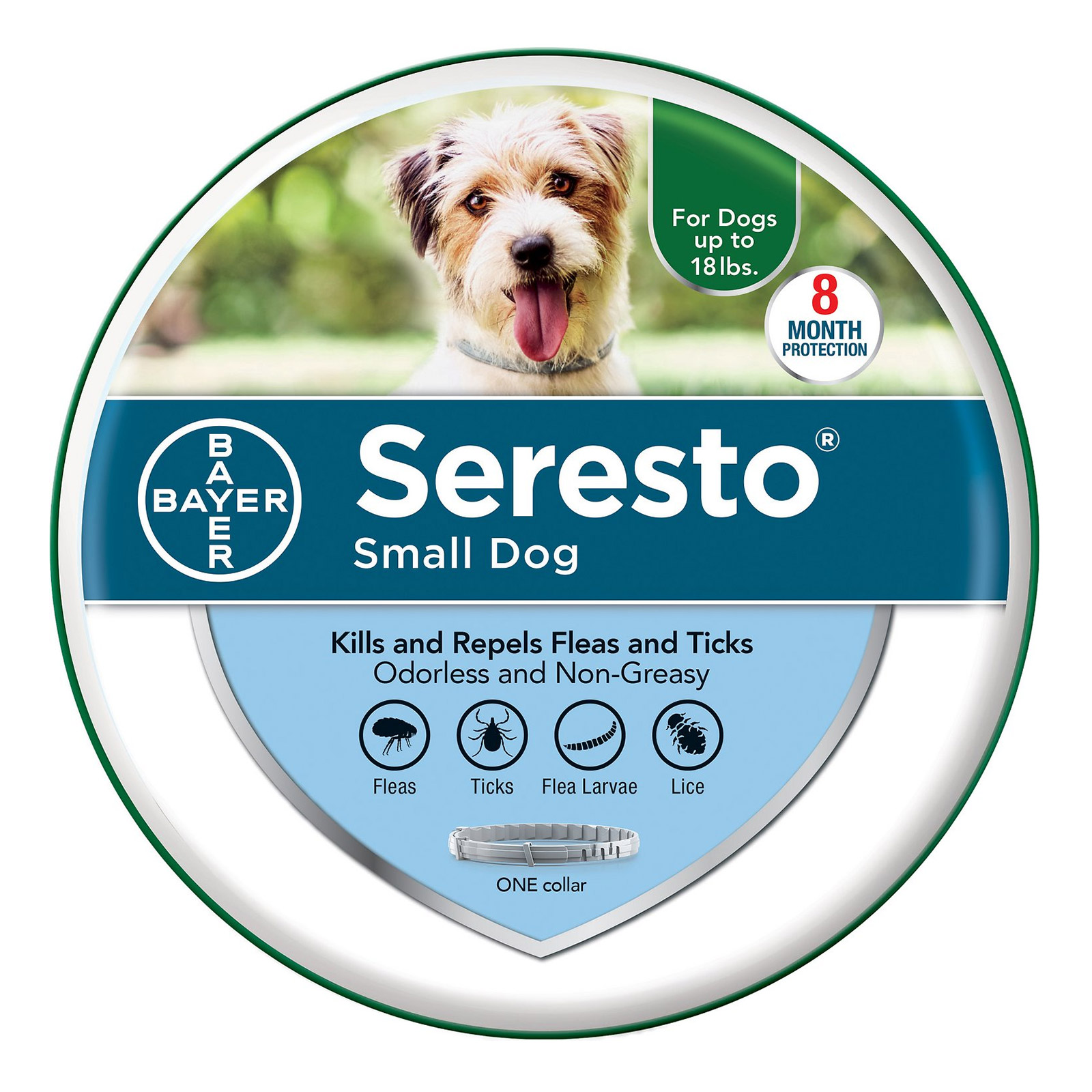 Seresto Collar For Small Dogs (Upto 18 Lbs) 15 Inch (38 Cm) 1 Collar