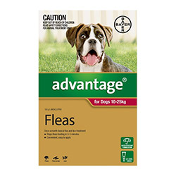 Advantage Large Dogs 21-55lbs (red) 4 Doses