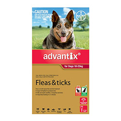 Most of the pet owners, breeders, pet shelters face fleas and ticks infestation along with other parasitic attack on their dogs. To ensure their good health, it becomes necessary to provide proper care and timely treatment against such infestation. For all types of external parasites including mosquitoes, sand flies, stable flies, and biting insects, you need a complete treatment like K9 Advantix.&nbsp; This monthly spot-on treatment prevents parasites on dogs by debilitating, paralyzing, destroying and repelling them.    K9 Advantix for Dogs     A topical treatment K9 Advantix effectively kills various external parasites. It prevents from parasitic infestation by destroying fleas, ticks, chewing lice and other types of flies along with biting insects. The two active ingredients Imidacloprid and Permethrin present in K9 Advantix works in synergy to protect dogs from disease caused by fleas and ticks. The repelling action of Imidacloprid, called the &lsquo;hot foot&rsquo; activity on t