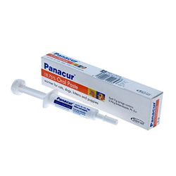 

Panacur Oral Paste For Dogs/Cats 1 Pack