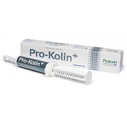 

Protexin Pro-Kolin+ For Dogs & Cats 30 Ml