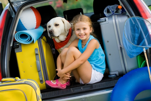 Tips for Travelling with your pet