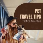 Pet Care
