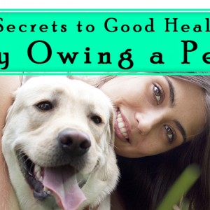 Pet Health