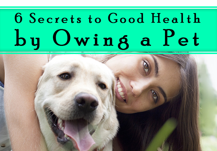 6 Secrets To Good Health By Owing A Pet Petcaresupplies Blog