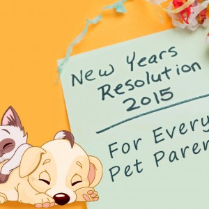 Pet Care