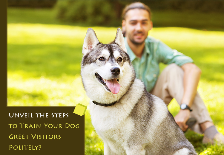 Unveil the Steps to Train Your Dog Greet Visitors Politely