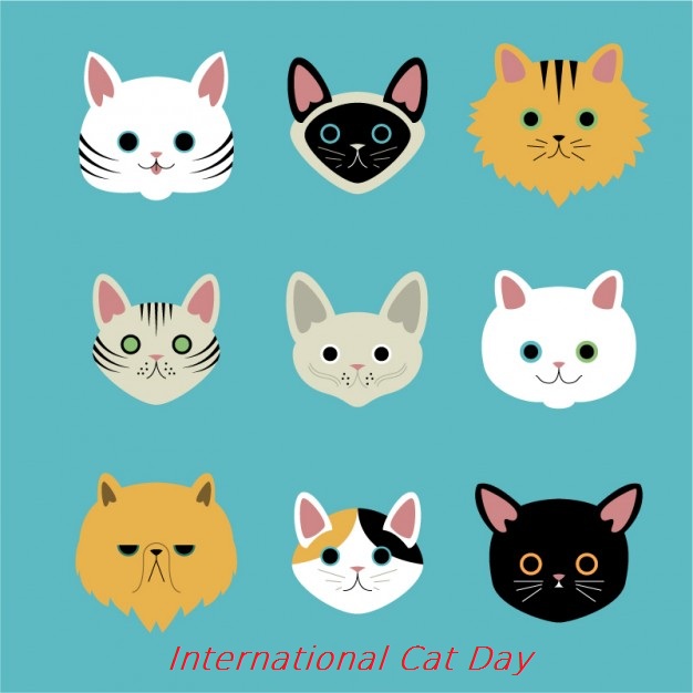 International Cat Day