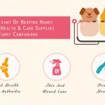 Relevance Of Keeping Handy The Health And Care Supplies Of Furry Companions Pet Health