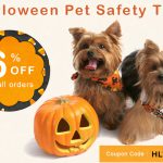 Halloween Pet Safety Tips For That Scary Fun News