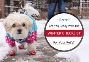 A helpful Winter Checklist for Your Pets