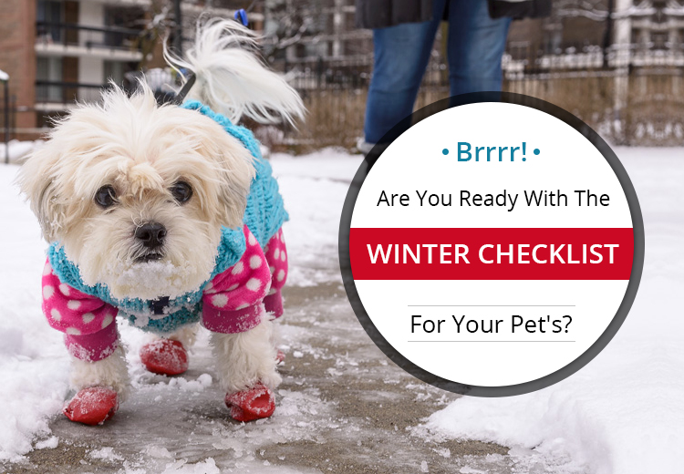 Winter Checklist for Cats And Dogs
