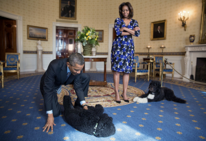 barak obama with two dogs