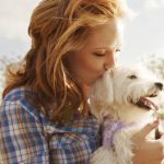 How To Assure Long-lasting Relationship With Your Dog Dog Care