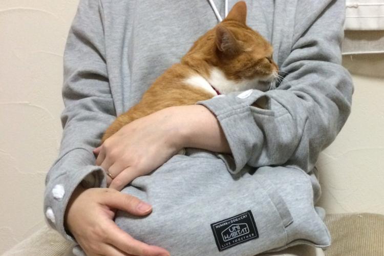 cat in arm PetCareSupplies Blog