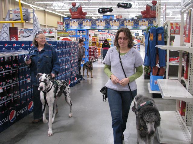 Dog at Walmart - Pet Care Supplies Blog