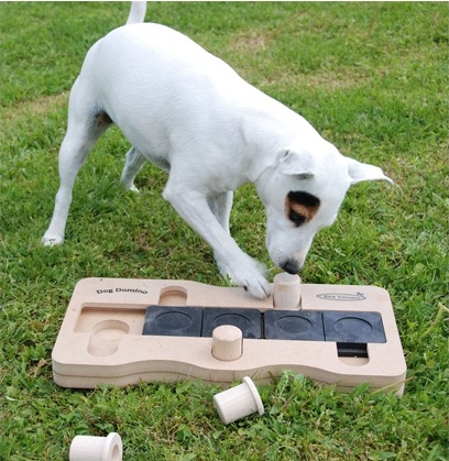 Dog Platying Domino Game - Pet Care Supplies Blog