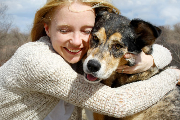Dog Making Mood of Sad Owner - Pet Care Supplies Blog