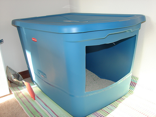 Litter Box for Dogs - Pet Care Supplies Blog