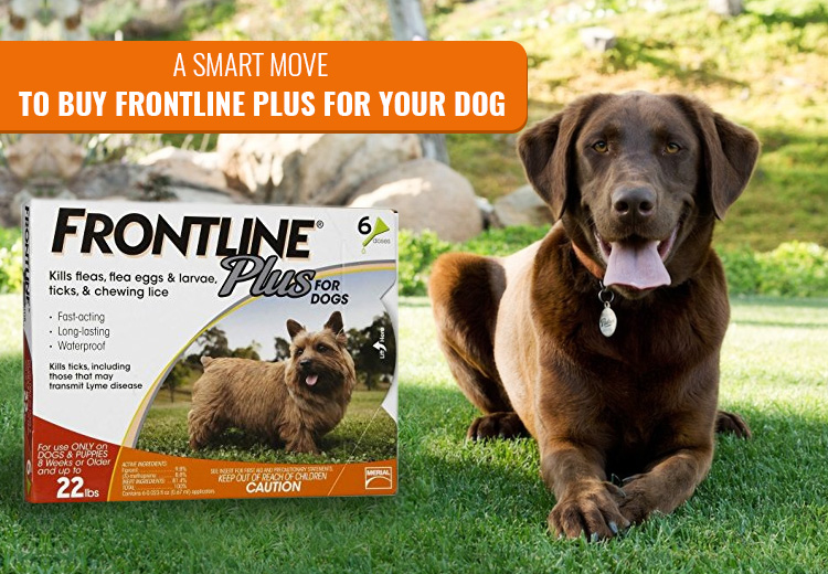 frontline-plus-for-dog
