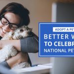 Adopt a Pet – Better Way to Celebrate National Pet Day Pet Care