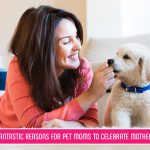 Pet Care