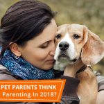 Pet Care