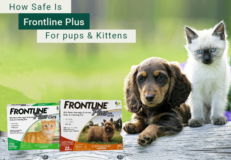 can puppies use frontline plus