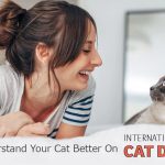 Understand Your Cat Better on International Cat Day News
