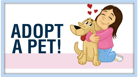 adopt pets