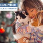 National Cat Day Special: Why Kitties Are Better Than Doggies? News