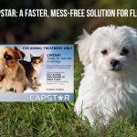 Capstar: A Faster, Mess-free Solution for Fleas Cat Care