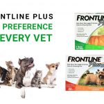 Frontline Plus – Top Preference of Every Vet Flea and Tick