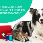 What You Must Know On National Pet First Aid Awareness Month? News