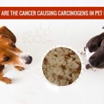 What are the Cancer Causing Carcinogens in Pet Foods News
