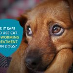 Is It Safe to Use Cat De-worming Treatment on Dogs? News
