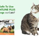 Is It Safe To Use Frontline Plus for Dogs on Cats? News