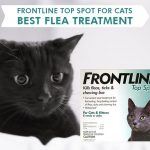 Frontline Top Spot For Cats – Best Flea Treatment News