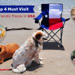 Top 4 Must-Visit Dog-Friendly Places In USA News
