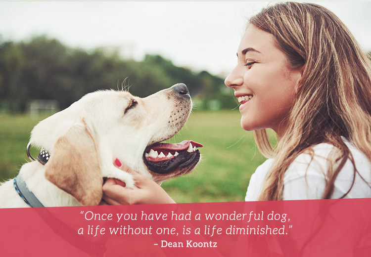 Some Famous Dog Quotes of All Time | PetCareSupplies