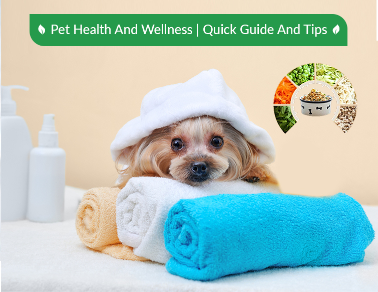 Pet Health And Wellness