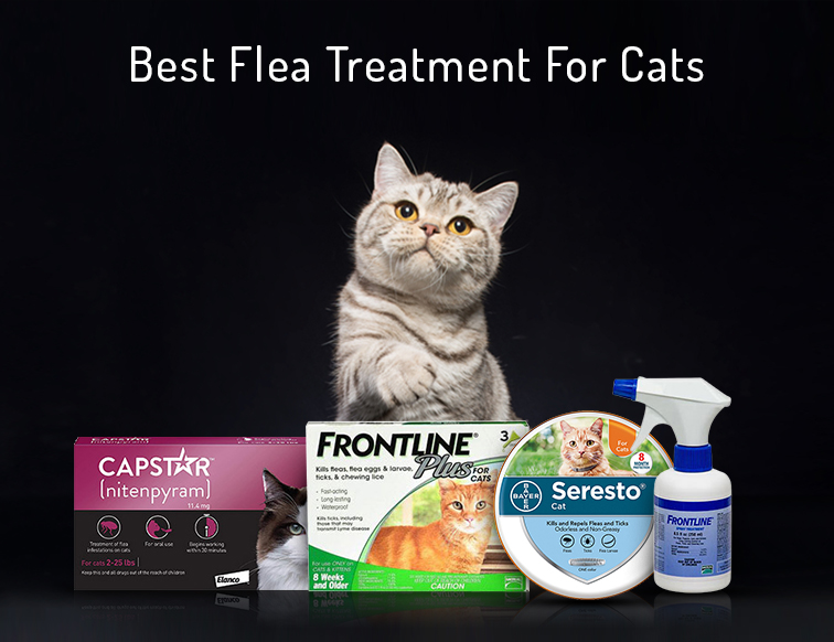 Flea treatment for cats