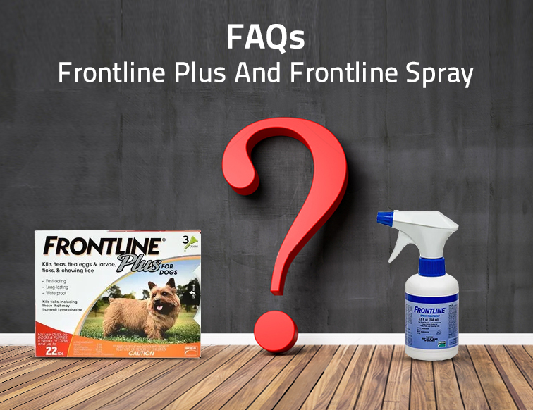 FAQs Regarding Frontline Plus And Frontline Spray - PetCareSupplies Blog