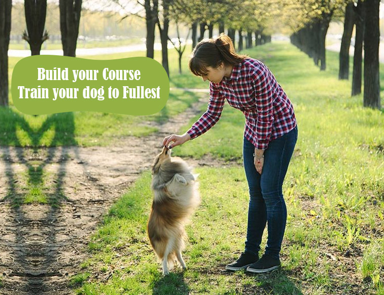 PCS-Train-your-dog-to-Fullest
