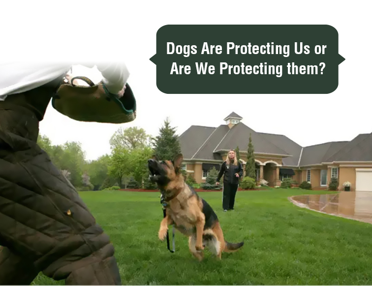 Why Should We Protect Dogs