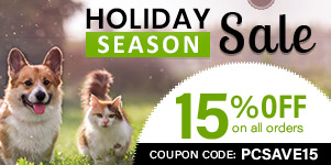 Special Offer! Holiday Season Sale