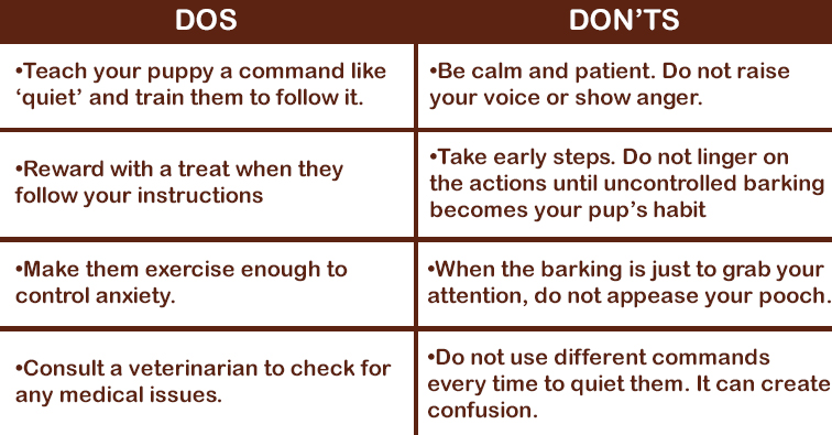 Dog Barking Dos and Don'ts