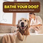 How Often Should You Bathe Your Dog? A Complete Guide by Breed & Lifestyle Dog Care