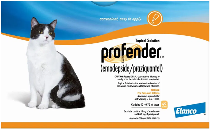 How to Get Rid of Worms in Dogs and Cats Naturally and Effectively